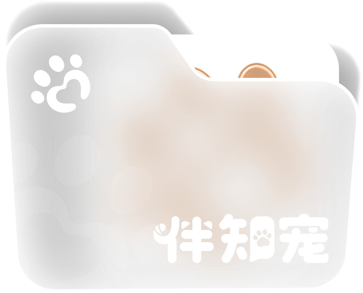 伴知宠文件夹