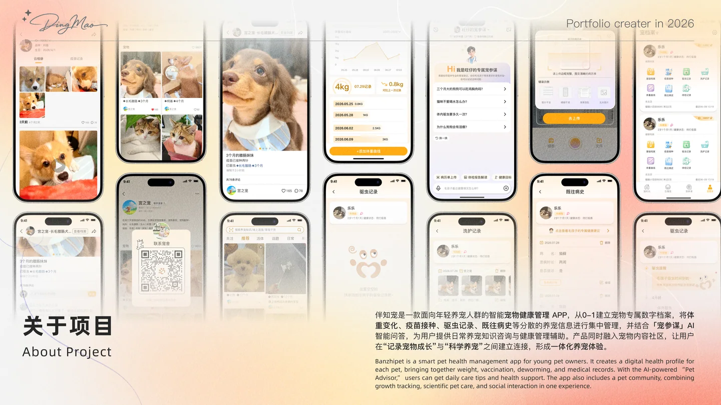 项目介绍设计展示